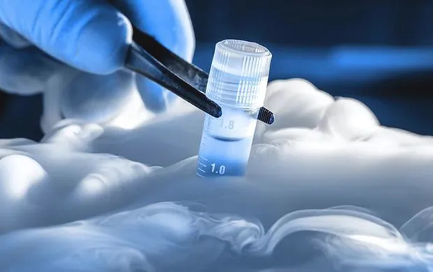 全球细胞冻存市场2033年将达703.5亿美元 细胞冻存罐成核心存储装备