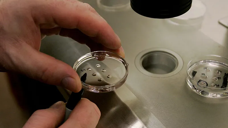 新泽西州立法规范胚胎冷冻存储 细胞保存罐安全标准受关注