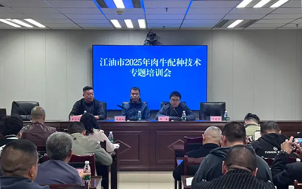 江油市引冻精技术赋能肉牛产业 小的液氮罐成良种培育关键支撑