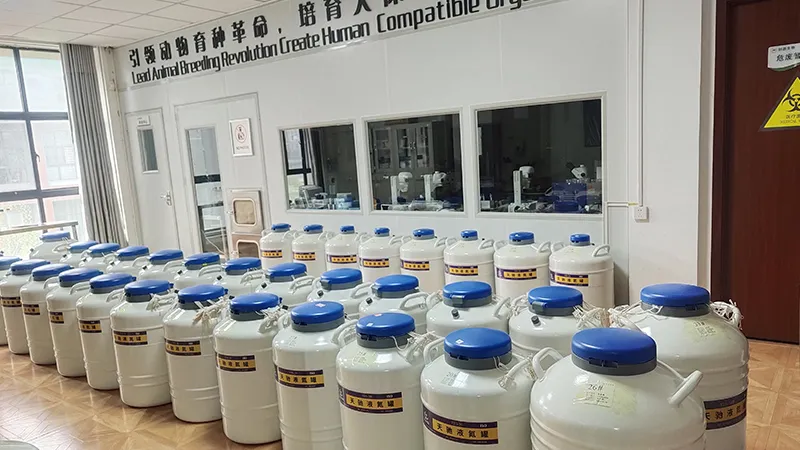 天驰协助搭建育种实验室