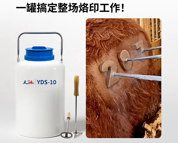 敞口液氮罐烙印用